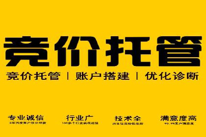SEM公司成功案例分享：搜索引擎优化的力量